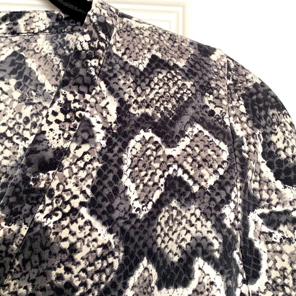 Joie silk vneck pullover blouse, long sleeves and buttons around wrist. Gorgeous - Picture 11 of 12